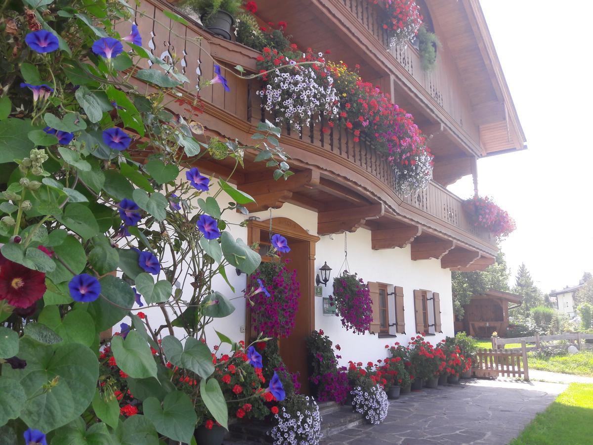 Hofbauer Villa Itter Ngoại thất bức ảnh